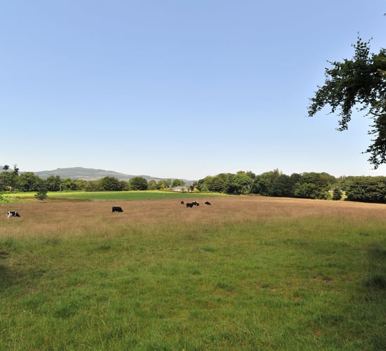 49ac residential farm at Kildorrery, Co. Cork for sale