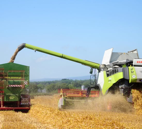 Part 1: A Kildare man’s experience of farming in Romania
