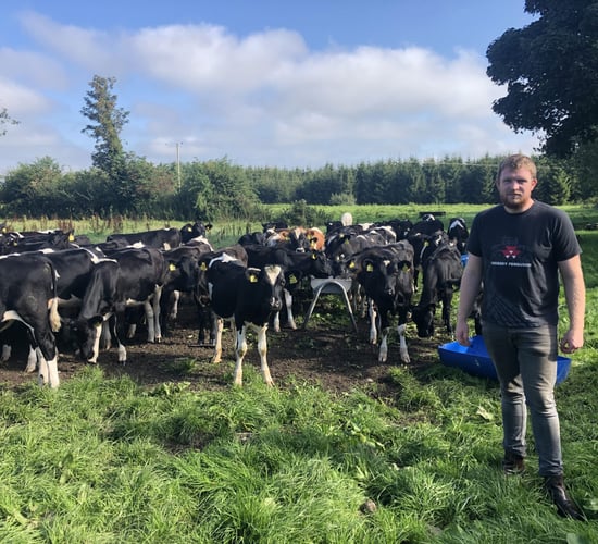 Calf rearing on Farmer Phil's livestock farm