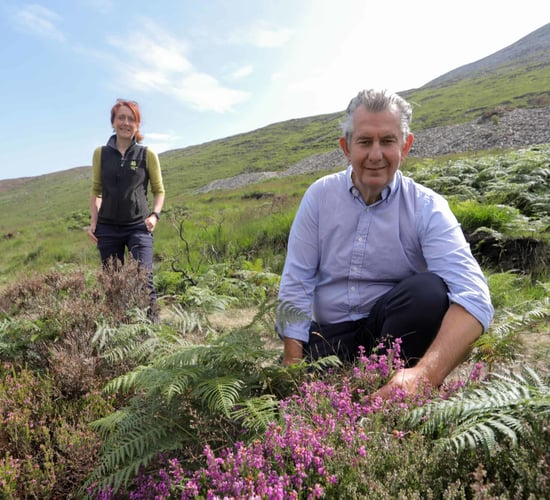 Poots commits £332,000 to aid Mournes Wildfire Recovery