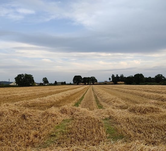 16ac of 'top class lands' for sale in Cashel, Co. Tipperary