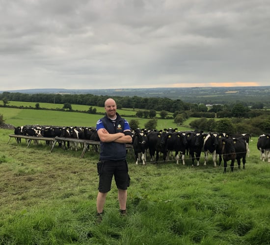 Beef Focus: A one-winter beef system - the secret to success