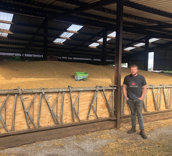 Watch: Farmer Phil's calves jump for joy with space hoppers