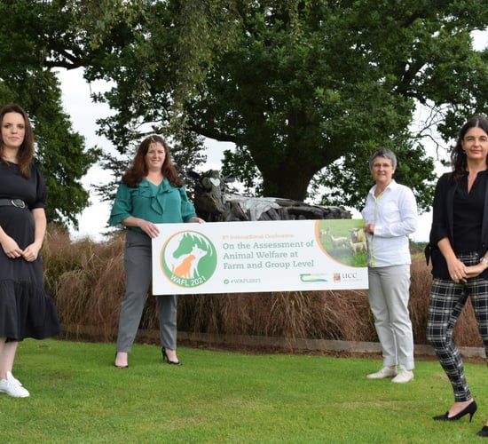 Teagasc and UCC host global animal welfare conference