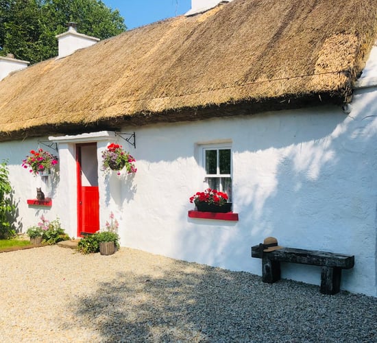 Thatched cottage restoration was family's lockdown project