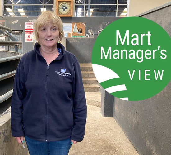 'If grass wasn't as tight there would be more demand for stores'