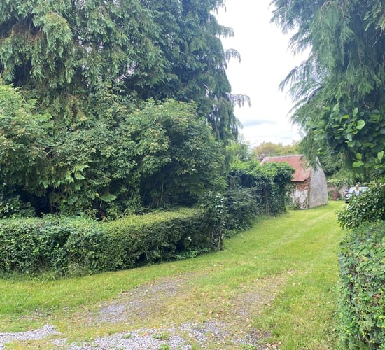 Narraghmore land ideal for farmers in expansion mode