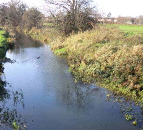 EU calls on Ireland to finalise 'late' water management review