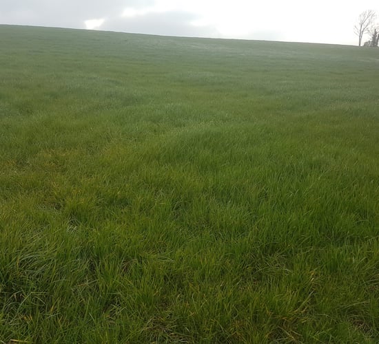 Autumn is the ideal time to complete soil sampling