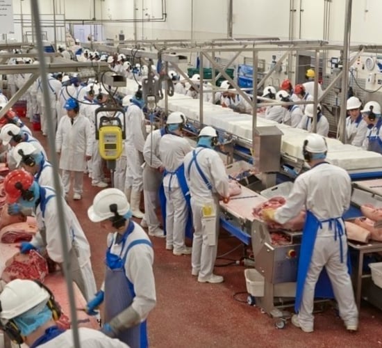 Rabobank: Argentina making waves on global beef market