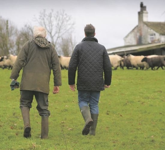 Macra sets out stance on CAP payments for pensioner farmers