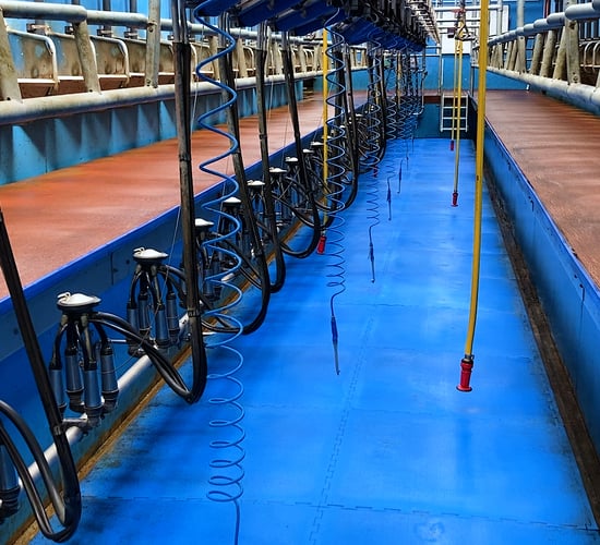 Don't overlook post-milking teat disinfection this spring