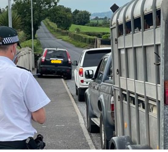 2 arrests made as part of rural crime clampdown in Down