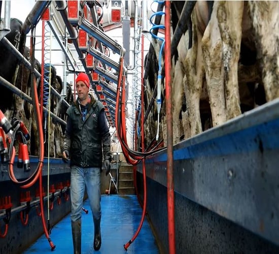 Video: New dairy entrant on his expandable 16-unit parlour decision