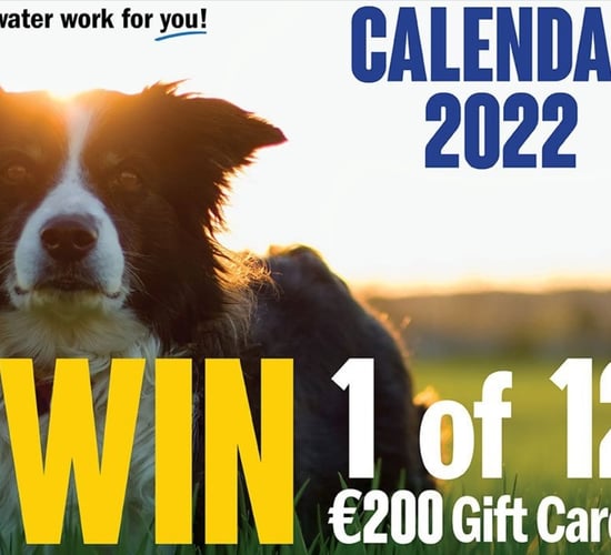 Working dog calendar comp: Will your pup make the cut?