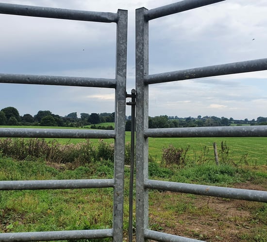 ICSA urges government to support 'financially savaged' farmers