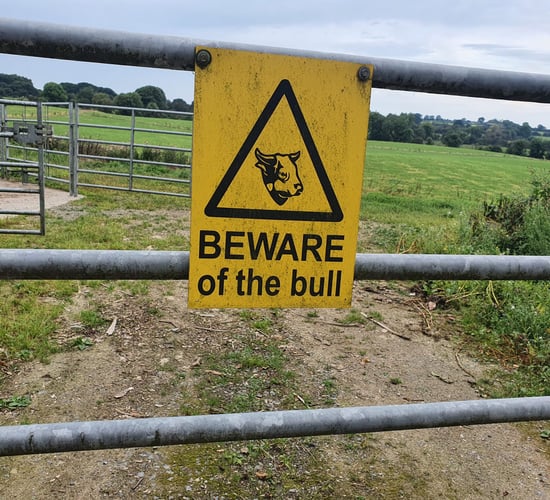 Thinking about bull safety as the breeding season continues