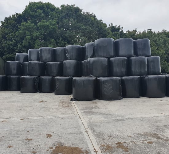 INHFA: 'Fodder support scheme' needed in Budget 2025