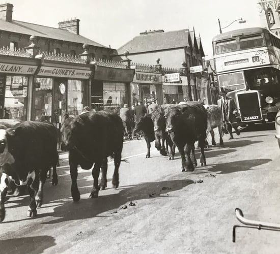 History of agricultural advisory services launched