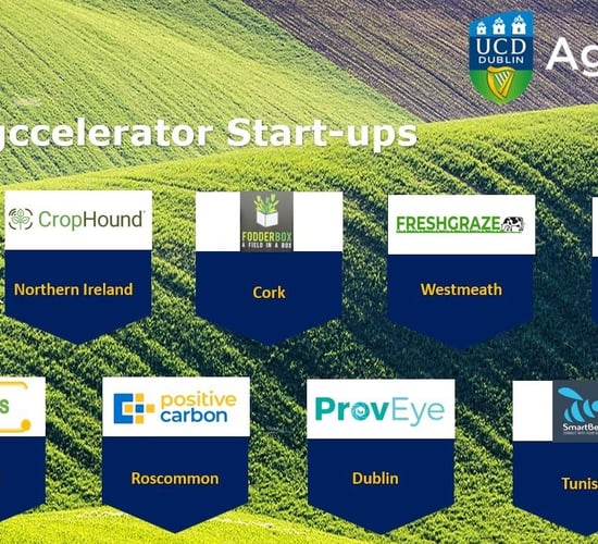 UCD selects 9 start-ups for AgTech programme