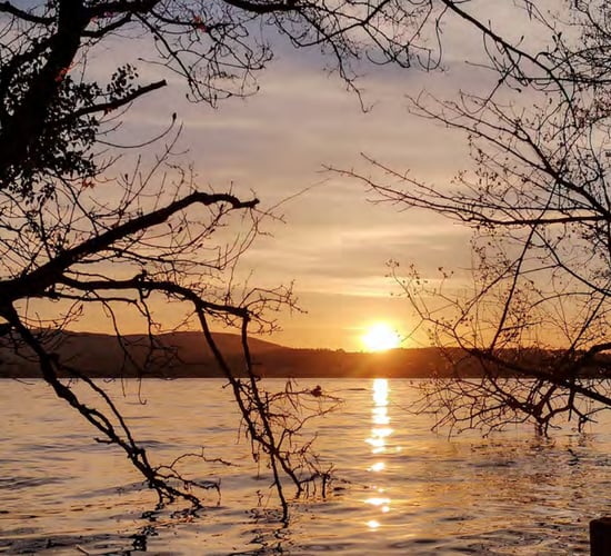 Proposed €30m film-production studio - a 'reel' boost for Tipperary economy