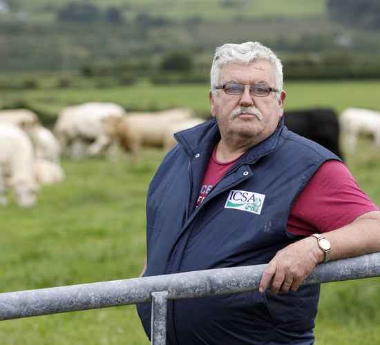 'We're backing down' - ICSA welcomes AIB U-turn