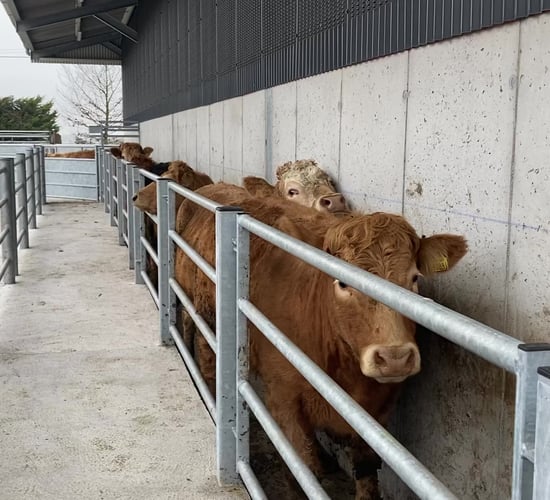 Production of flukicide Trodax ceased