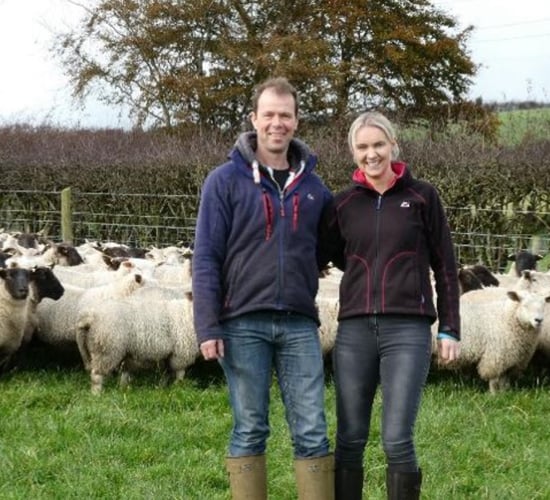 Fancy becoming one of NI's new Sheep Technology Demonstration Farms?