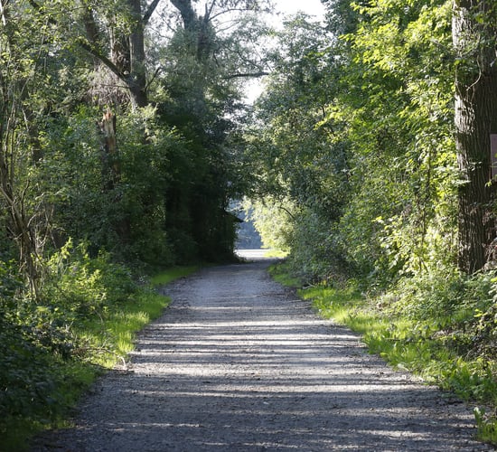 Law Society 'pleased that concerns have been heard' on right of way