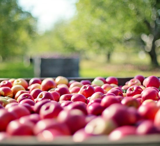 EU pledges €140m to support research in sustainable food systems