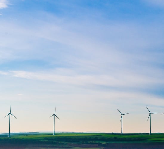 Government receives a C+ grade in first environment action 'report card'