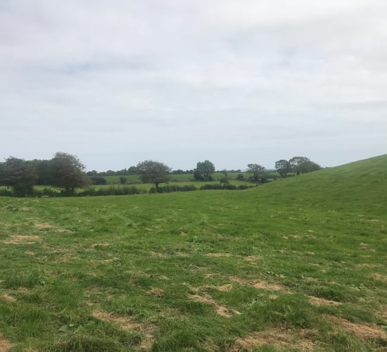 Embracing cow management technology in Co. Wexford