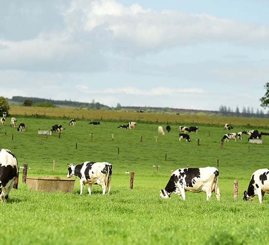 Teagasc staff pay costs rose by 9% to €109m in 2024 - report