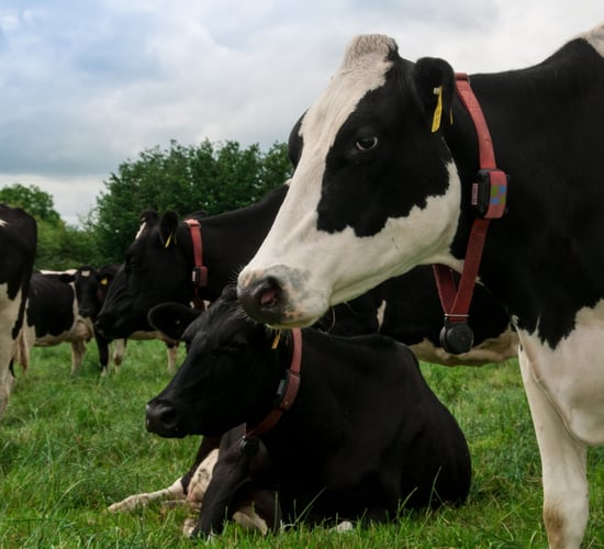 Introducing farm technology to drive profit