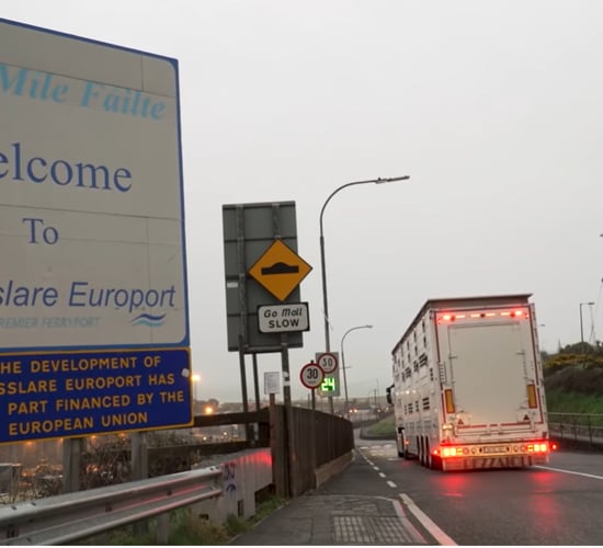 Calf exporters make proposal to build lairage near Rosslare