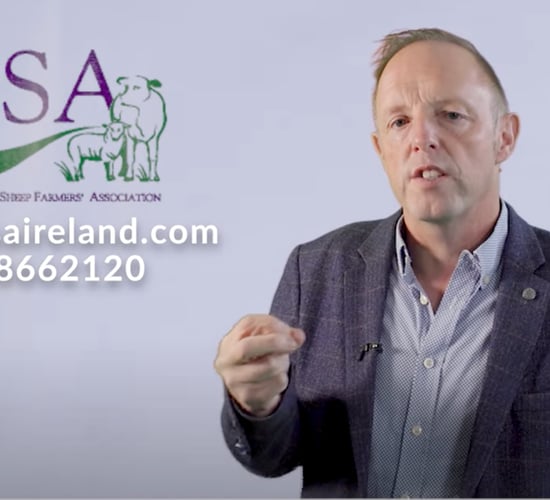 ICSA outlines its proposals for CAP Strategic Plan
