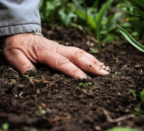 Researchers urged to apply for €62m soil-health funding