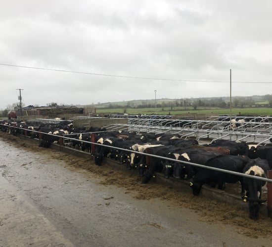 Soiled water storage: No need to cover open yards or topless cubicles - DAFM