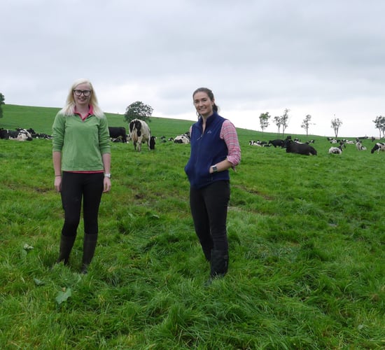 Increase in eligibility age for TAMS welcomed by women in agriculture