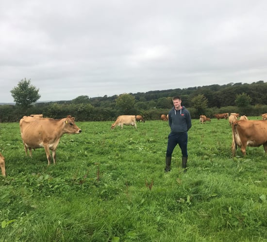 Dairy throwback: 'Organic dairy made more financial sense'
