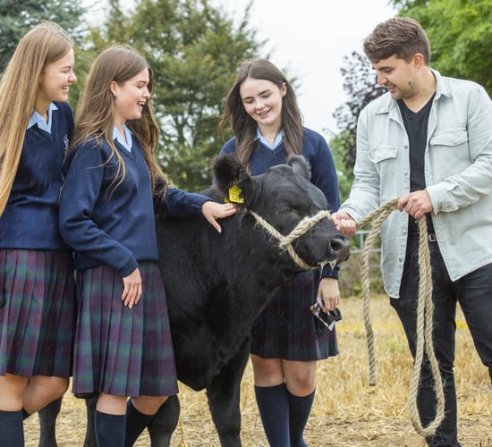 Dublin students among finalists in Certified Angus school competition