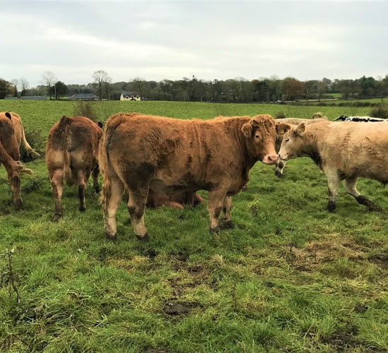 Second survey for farmers on unfair trading practices