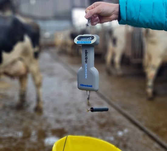 Feeder inaccuracy of up to 15% found on NI dairy farms