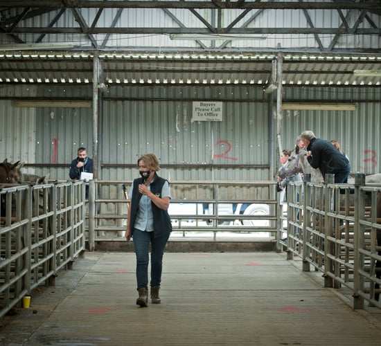 Family affair as Maam Cross Mart enjoys unique setting