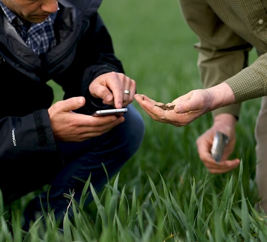 Origin Enterprises revenue drops by 25% due to fertiliser pricing