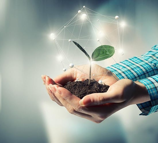 Origin Enterprises sees 47% rise in group revenue