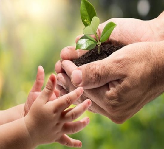 Starting the conversation around farm succession