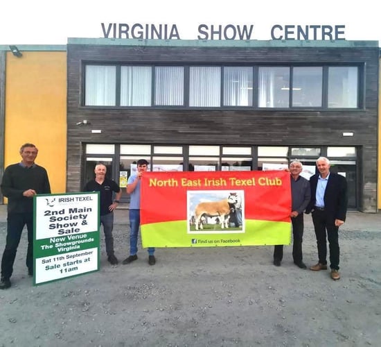 North East Irish Texel Club looking forward to 2nd premier sale in a new venue
