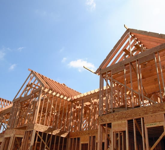 Healy-Rae: Opportunity to expand use of timber in construction