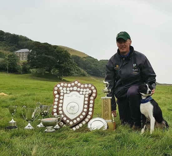 Kerry duo named Supreme Champion at International Sheep Dog Trials